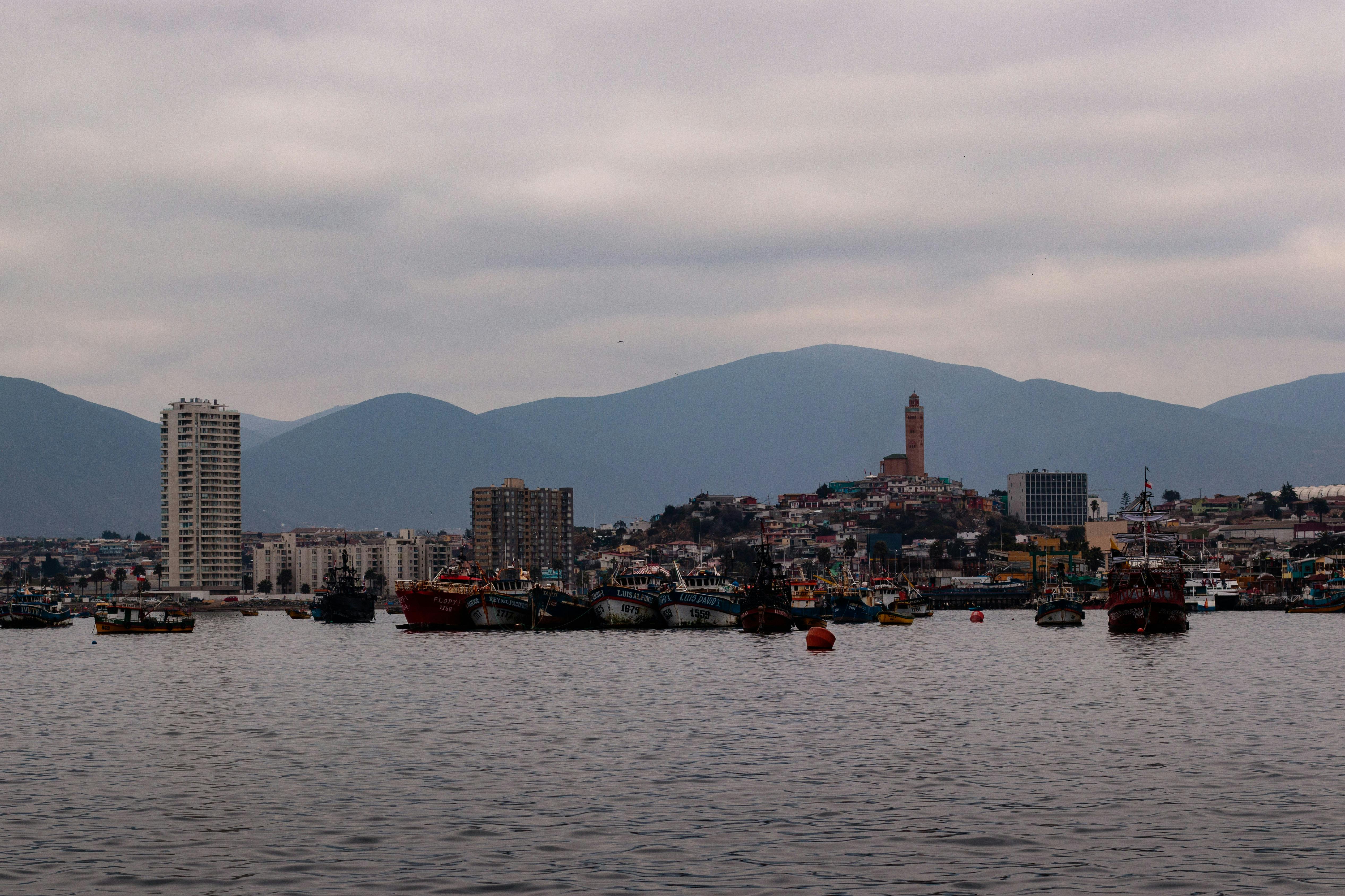 Photo of Coquimbo