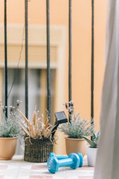 Potted plants and blue dumbbells on a balcony with a soft, natural setting.