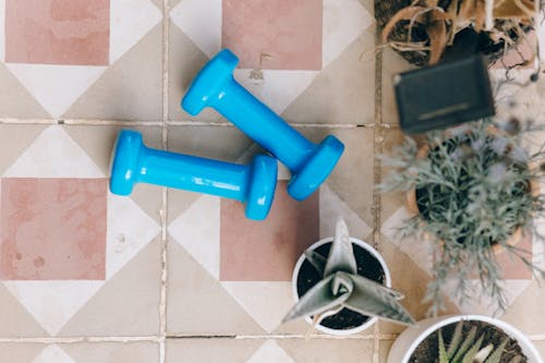 Free Blue Dumbbells Beside a Potted Plants Stock Photo
