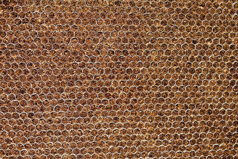 petit fumeur sans danger