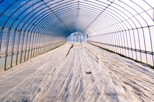 Gray Metal Frame Glass Roof