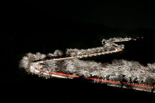 Aerial night view showcasing a lit highway with cherry blossoms in Korea.