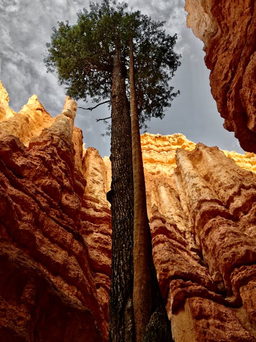 bryce kanyonu, doğa yürüyüşü, kanyon içeren Ücretsiz stok fotoğraf