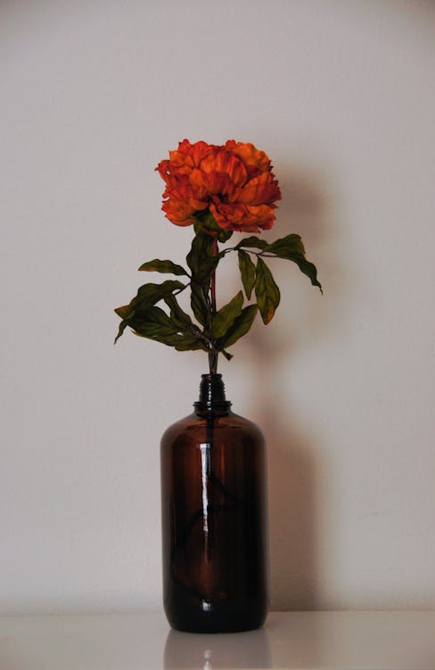 Orange Flower in Brown Glass Vase