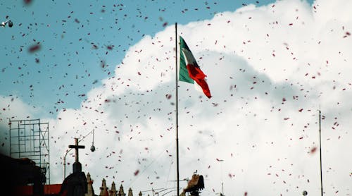 Foto stok gratis hari kematian, meksiko