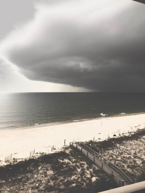 Foto profissional grátis de céu cinza, Flórida, litoral