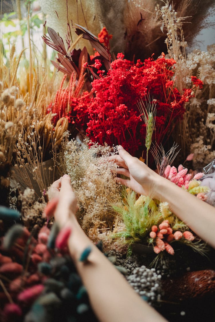 Woman Choosing Bouquet Of Herbarium In Store