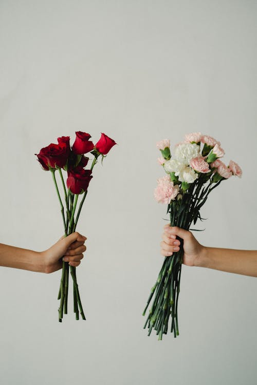 Crop unrecognizable female florists holding bunch of red roses and bouquet of pastel carnation flowers against white wall in studio