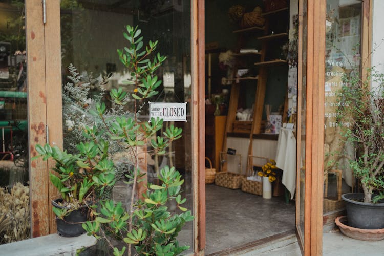 Entrance Of Modern Floristry Shop With Glass Walls