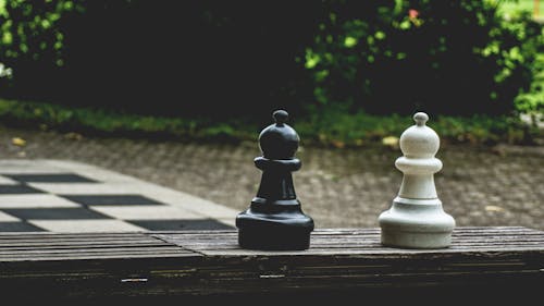 бесплатная Две черные и белые шахматы пуна на коричневой поверхности Стоковое фото