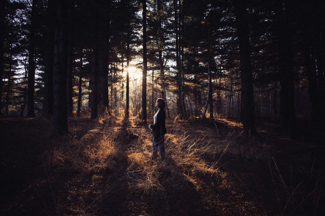 Woman Walking in a Forest at Sunset 
