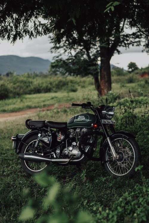 Free A scenic view of a Royal Enfield motorcycle amidst lush greenery in rural India. Stock Photo