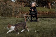 一个穿着万圣节服装的年轻女孩和一只猫坐在户外绿树成荫的长凳上