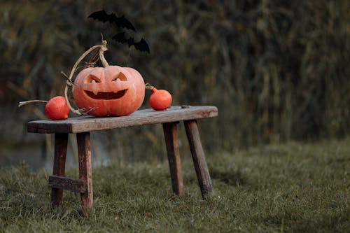 Jack o Lantern on a Wooden Bench