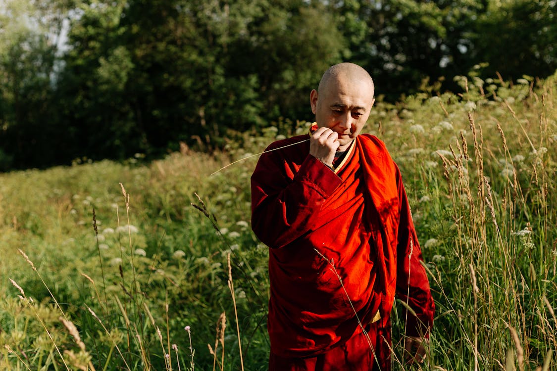 Tibetan Monk in the Meadow