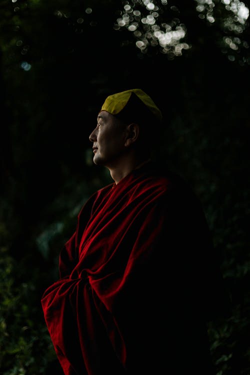 Man Wrapped in a Red Cape Standing in a Forest