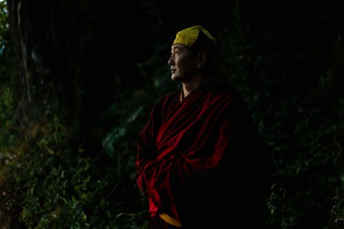 Free A Buddhist monk in a red robe and yellow hat stands contemplatively in a dense forest at dawn. Stock Photo