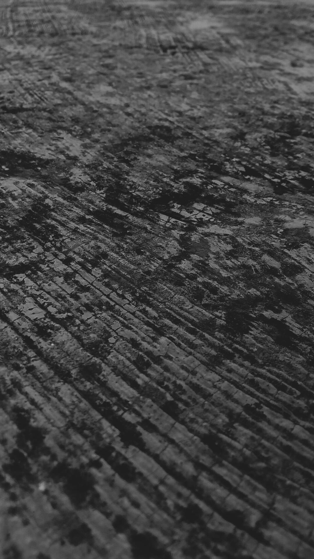 Free Stock Photo Of B Amp W, Texture