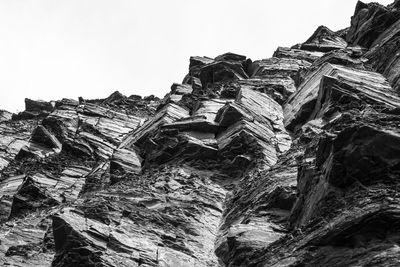 Study Suggests Animals May Have Evolved Hundreds of Millions of Years Earlier Than Thought