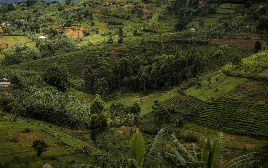 Peut-on immigrer en RDC sans offre d'emploi ?