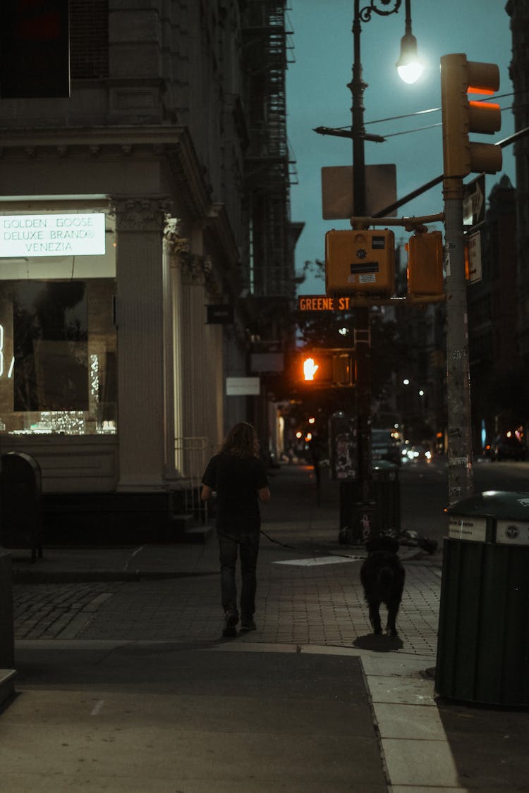 Unrecognizable Person With Dog Walking On Pavement In Night City