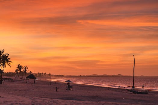 Beautiful sunset over a Brazilian beach with palm trees and a tranquil sea.