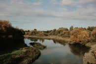 Green Trees Beside River Under White Clouds and Blue Sky