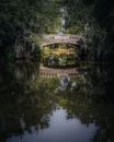 Old arched stone bridge over tranquil river in lush forest
