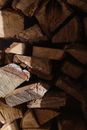 Brown and Gray Wood Logs
