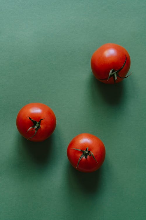 Three Small Tomatoes on a Green Background