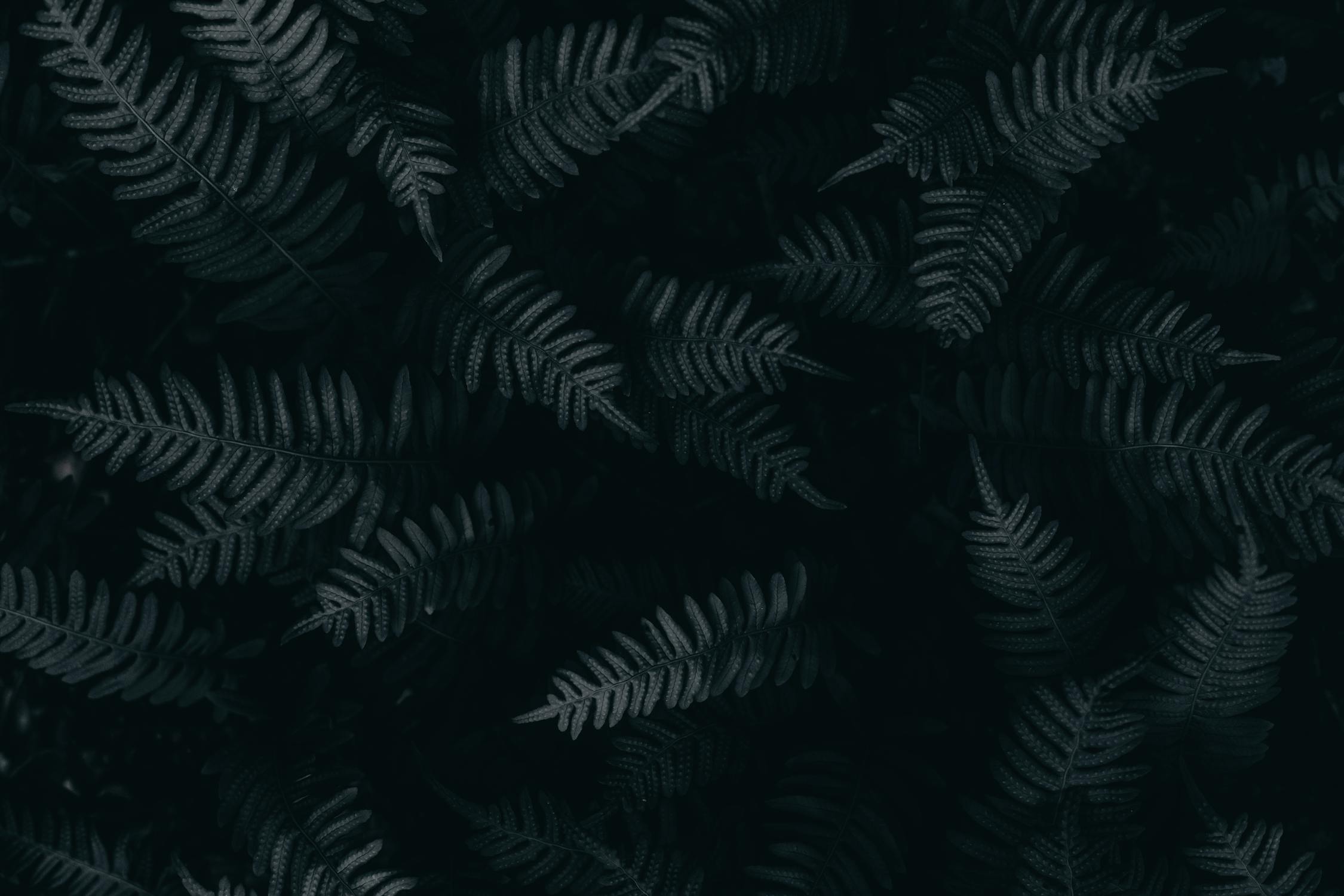 Black and Gray Leaf Textile · Free Stock Photo