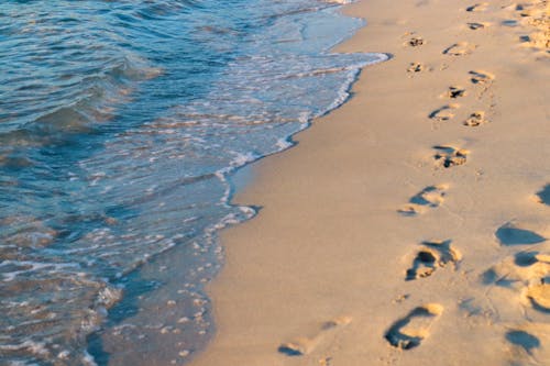 Free stock photo of footprints in the sand Stock Photo