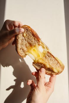 Delicious grilled cheese sandwich with gooey melted cheese pulled apart in natural lighting.