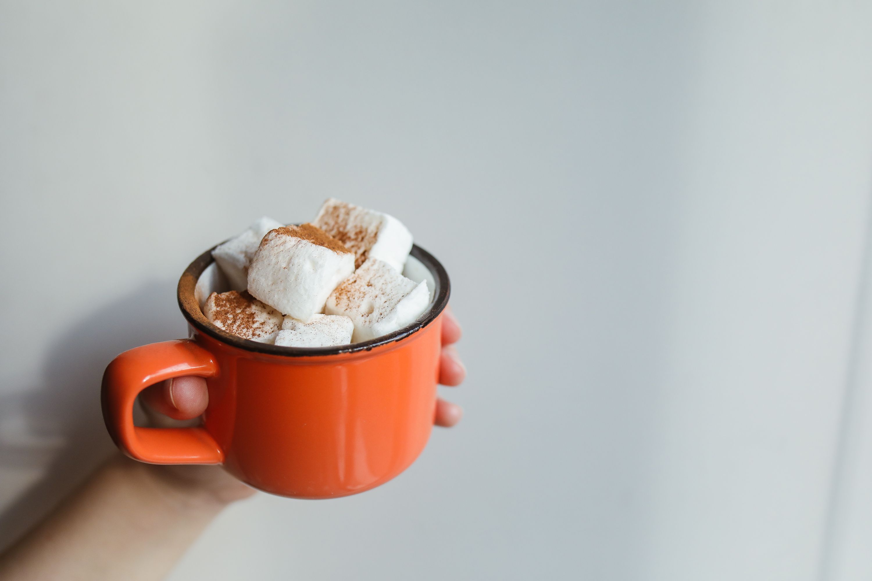 Chocolate cupcakes with burnt orange marshmallows