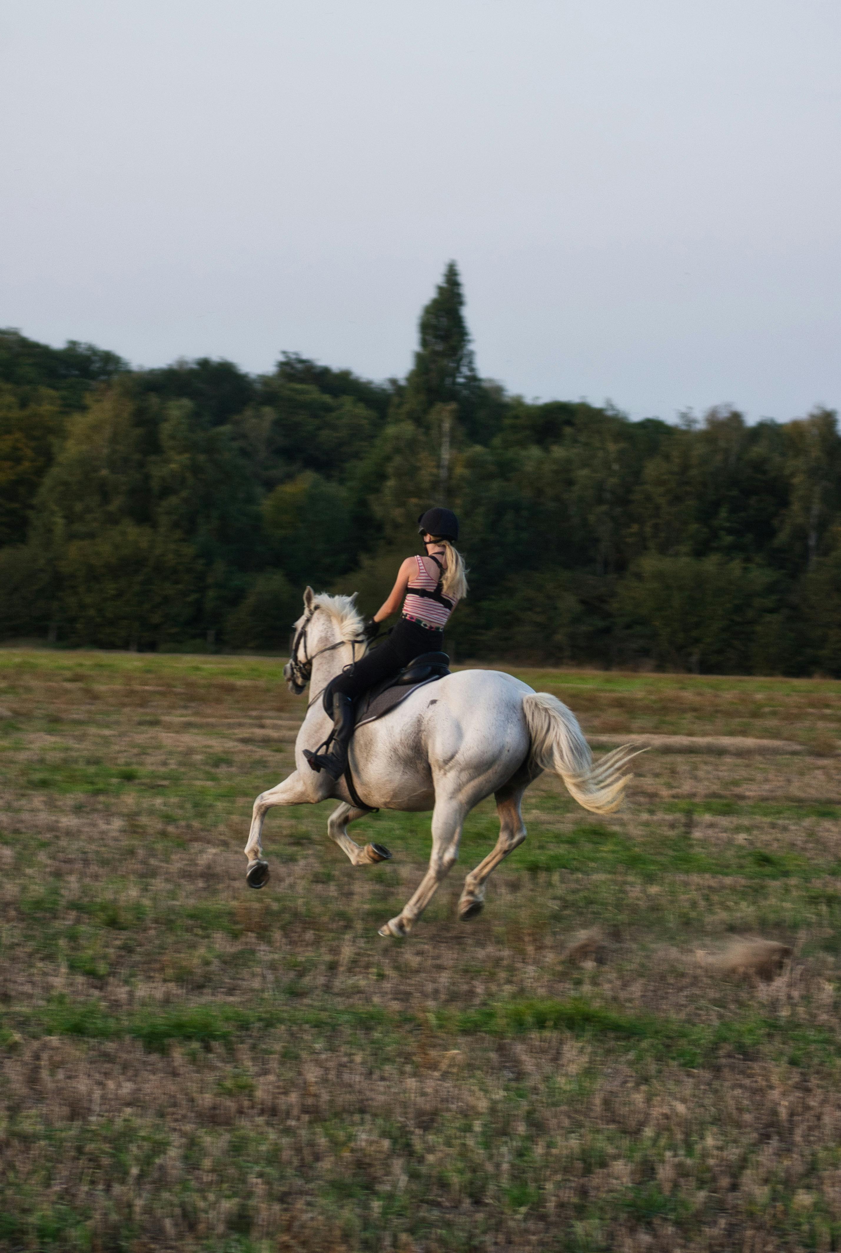 horseback riding of woman on meadow in countryside