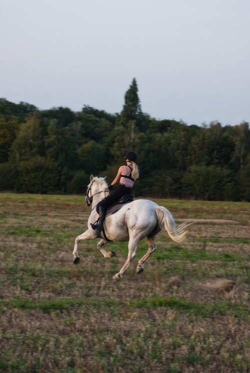 Horseback riding of woman on meadow in countryside