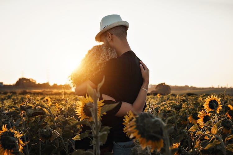 A Couple Hugging In The Sun Flower Field