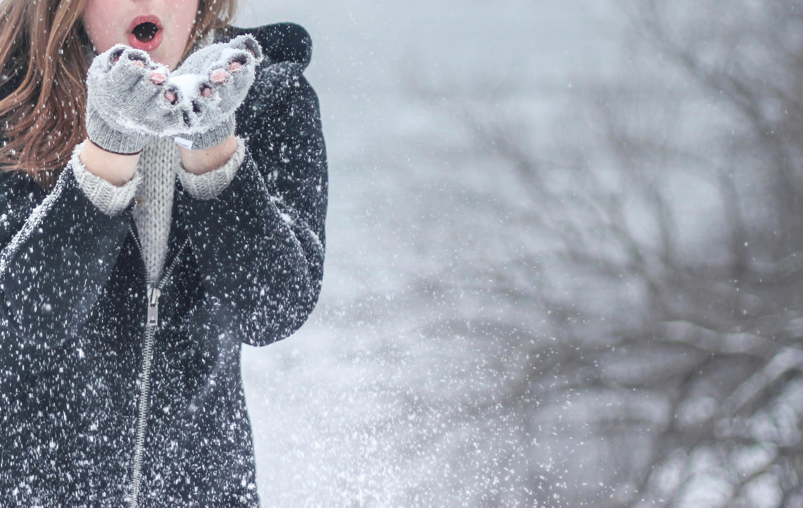 60,000+ Best Snow Photos · 100% Free Download · Pexels Stock Photos