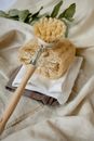 A Body Brush with Wooden Handle on Loofah Sponge