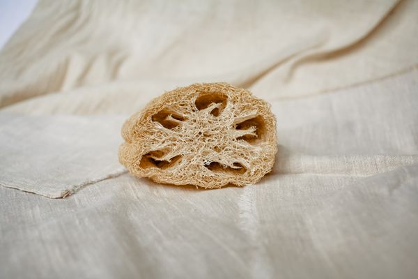 natural loofah sponge
