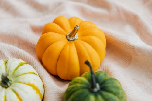 Ornamental Pumpkins 