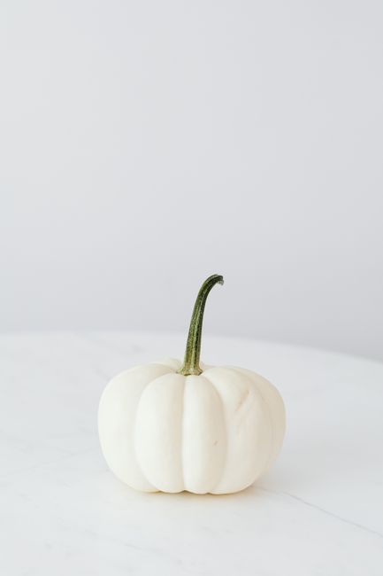 Simple minimalist composition of a white pumpkin on a marble table, perfect for seasonal decor.