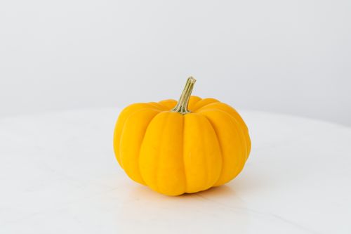 Free A single miniature pumpkin on a clean white surface, ideal for autumn themes. Stock Photo