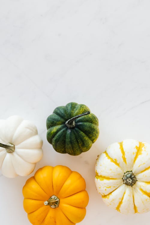 Free Pumpkins on White Background Stock Photo