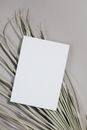 White Printer Paper on White Surface