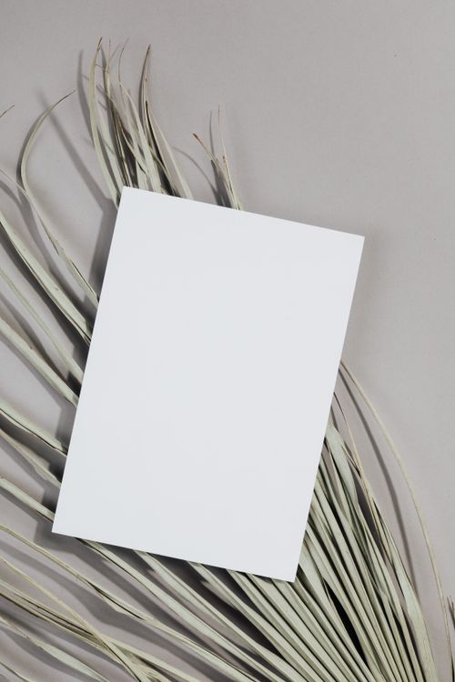 Free A clean sheet of paper styled on aesthetic palm leaves against a gray background. Stock Photo