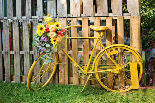 Ilmainen kuvapankkikuva tunnisteilla keltainen, keltainen polkupyörä, kukat