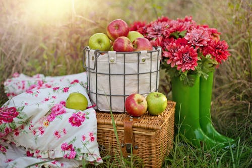 Apples in Basket by Flowers in Green Boots