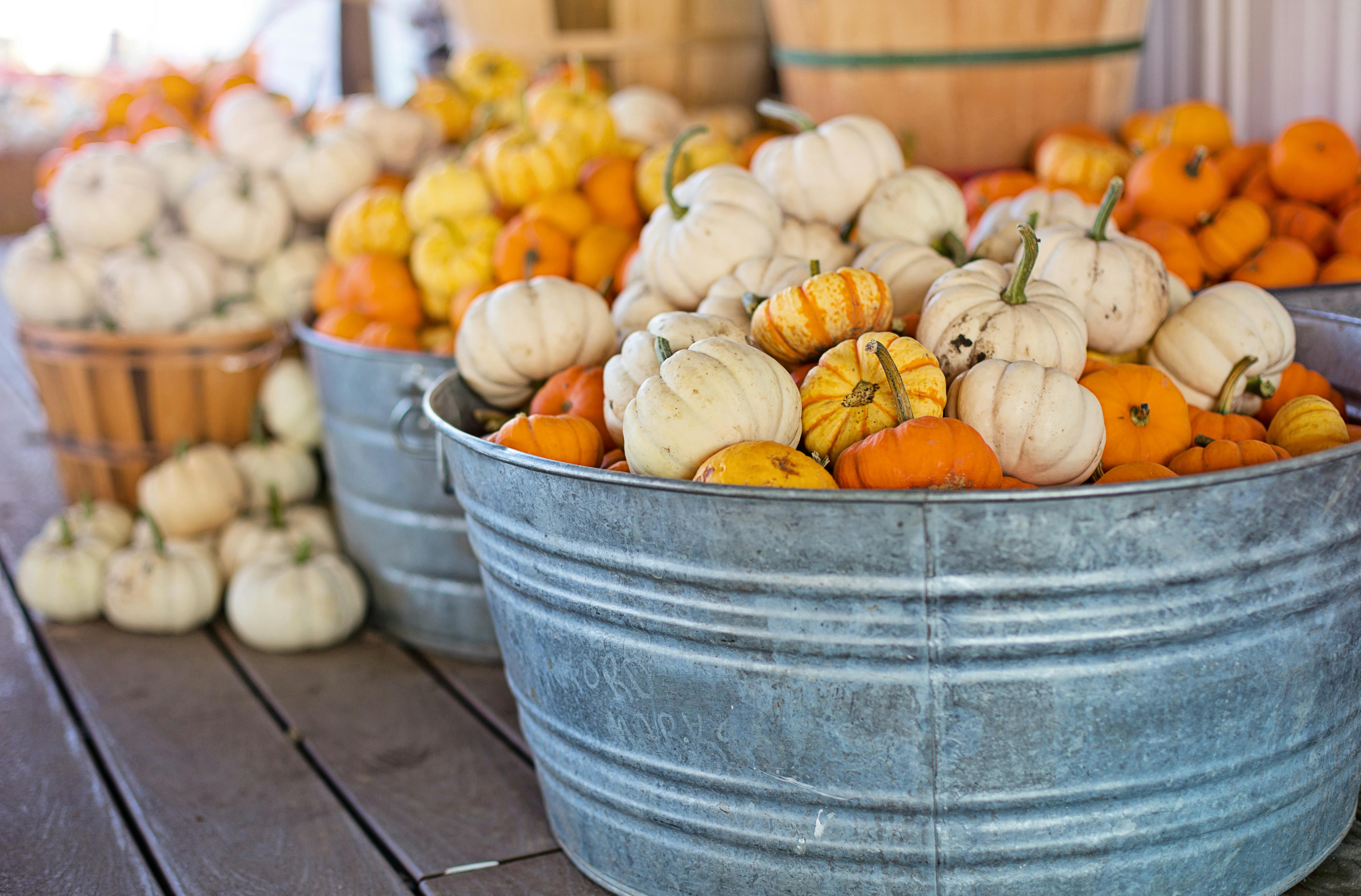 The Weather-Proof Guide to Outdoor Halloween Decorations
