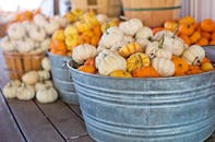 农贸市场镀锌浴缸里的秋季南瓜装饰，非常适合季节性秋季主题